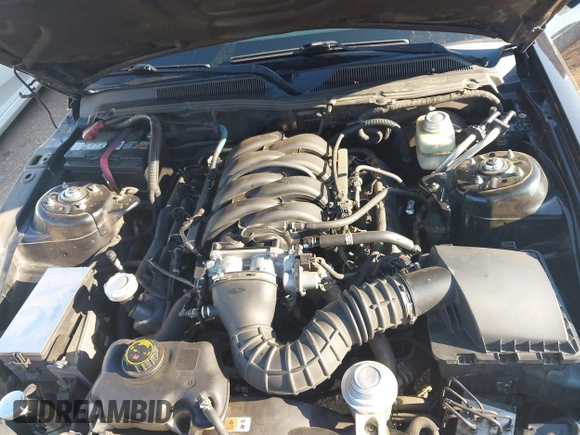 2005 Ford Mustang GT Deluxe with VIN 1ZVHT82H455205677, listed as a IAAI auction lot 42651512 with 221,876 mi miles and . Bid and sale history available at DreamBid. Image 10.
