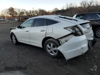 2010 Honda Accord Crosstour EX with VIN 5J6TF1H38AL009880, listed as a Copart auction lot 79829274 with 126,000 mi miles and Salvage Title. Bid and sale history available at carsss.com. Image 2.