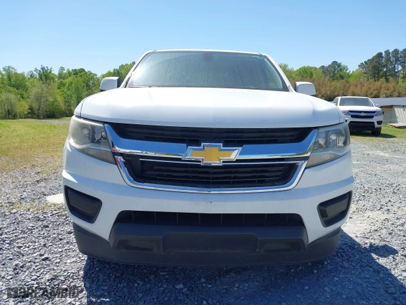 2019 Chevrolet Colorado 2WD LT with VIN 1GCGSCEN6K1124642, listed as a IAAI auction lot 42065426 with 205,608 mi miles. Bid and sale history available at carsss.com. Image 12.