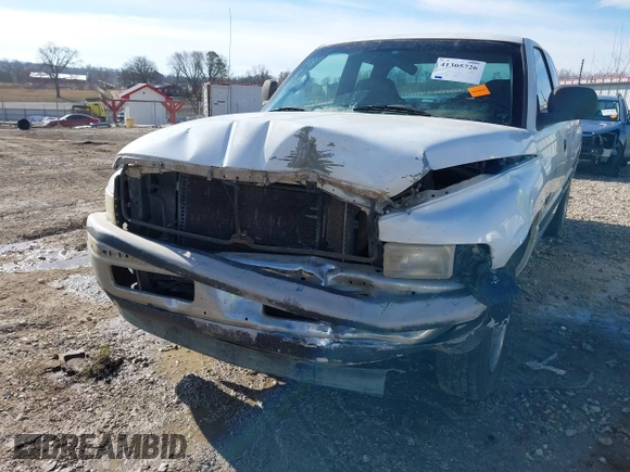 1999 Dodge 1500 with VIN 3B7HC12Y1XG150644, listed as a IAAI auction lot 41305726 with 128,833 mi miles and . Bid and sale history available at DreamBid. Image 6.