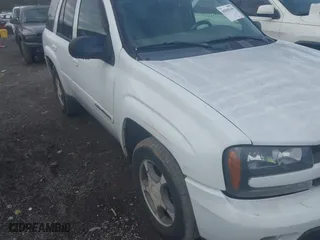 2004 Chevrolet TrailBlazer LS with VIN 1GNDT13S742174726, listed as a IAAI auction lot 41819148 with 266,159 mi miles. Bid and sale history available at carsss.com. Image 6.