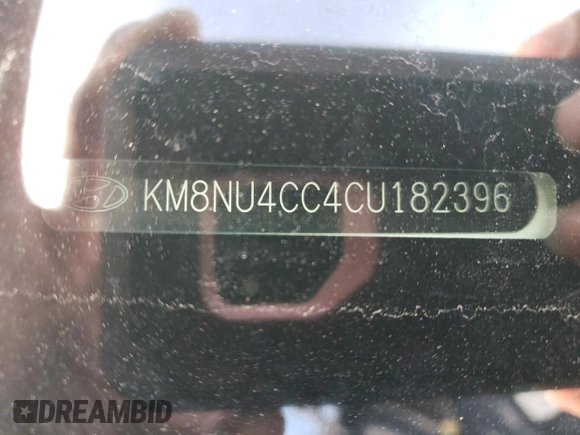 2012 Hyundai Veracruz Limited with VIN KM8NU4CC4CU182396, listed as a Copart auction lot 48029895 with Not Provided miles and Salvage Title. Bid and sale history available at DreamBid. Image 13.