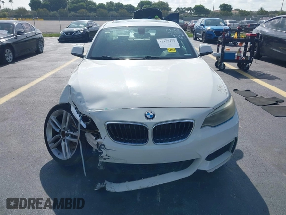 2014 BMW 2 Series 228i with VIN WBA1F5C54EV246340, listed as a IAAI auction lot 42457432 with 191,418 mi miles and . Bid and sale history available at DreamBid. Image 12.