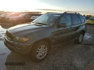 2006 BMW X5 3.0i with VIN 5UXFA13596LY39400, listed as a Copart auction lot 79711194 with 0 mi miles and Salvage Title. Bid and sale history available at carsss.com. Image 1.