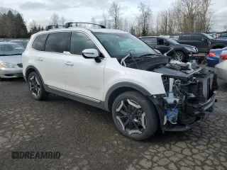 2024 Kia Telluride EX with VIN 5XYP3DGC2RG451676, listed as a Copart auction lot 46161785 with 19,793 mi miles and Salvage Title. Bid and sale history available at carsss.com. Image 4.
