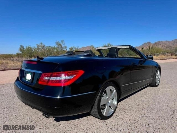 2013 Mercedes-Benz E-Class E 350 with VIN WDDKK5KF8DF204166, listed as a Copart auction lot 42840295 with 169,781 mi miles and Salvage Title. Bid and sale history available at carsss.com. Image 4.