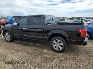 2016 Ford F-150 XL with VIN 1FTEW1CFXGFA55718, listed as a Copart auction lot 74540804 with Not Provided miles and Salvage Title. Bid and sale history available at DreamBid. Image 2.