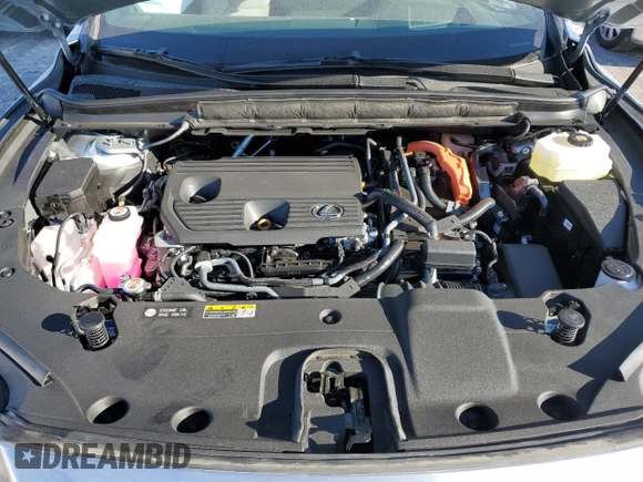 2025 Lexus RX 350h with VIN 2T2BBMCA2SC070683, listed as a Copart auction lot 49420725 with 2,218 mi miles and Salvage title. Bid and sale history available at DreamBid. Image 13.