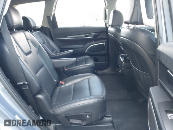 2022 Kia Telluride S with VIN 5XYP6DHC4NG205678, listed as a IAAI auction lot 42012713 with 56,783 mi miles and . Bid and sale history available at DreamBid. Image 8.