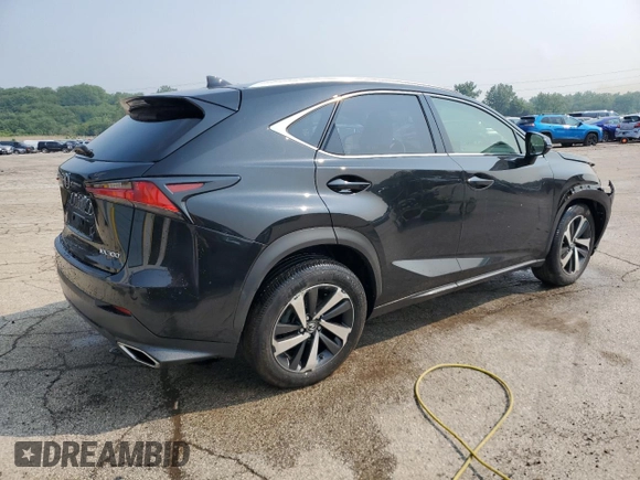 2019 Lexus NX 300 with VIN JTJBARBZ1K2210620, listed as a Copart auction lot 58600295 with 48,730 mi miles and Salvage title. Bid and sale history available at DreamBid. Image 3.