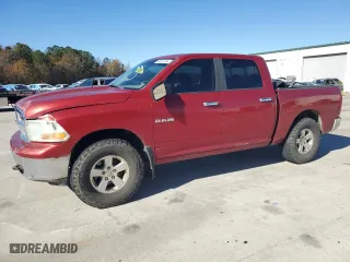 2010 Dodge Ram 1500 ST with VIN 1D7RB1CP8AS248671, listed as a Copart auction lot 84604084 with 168,372 mi miles and Salvage Title. Bid and sale history available at carsss.com. Image 1.