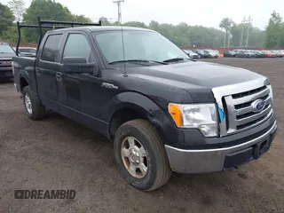 2010 Ford F-150 XL with VIN 1FTEW1E84AFA54957, listed as a IAAI auction lot 42456388 with 197,370 mi miles and . Bid and sale history available at DreamBid. Image 6.