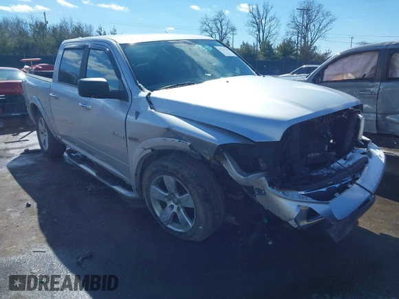 2009 Dodge 1500 SLT with VIN 1D3HV13T99S741708, listed as a IAAI auction lot 41731020 with 256,999 mi miles. Bid and sale history available at carsss.com. Image 6.