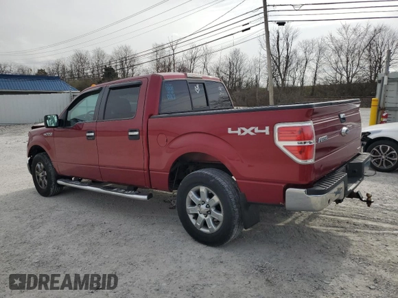2013 Ford F-150 XL with VIN 1FTFW1EF5DFA72956, listed as a Copart auction lot 49891245 with 142,672 mi miles and Salvage Title. Bid and sale history available at DreamBid. Image 2.