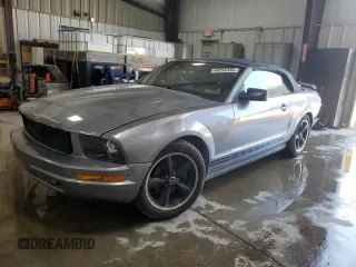 2006 Ford Mustang Standard with VIN 1ZVFT84N565111058, listed as a Copart auction lot 48254345 with Not Provided miles and Salvage Title. Bid and sale history available at carsss.com. Image 1.
