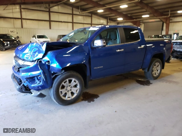 2019 Chevrolet Colorado 4WD LT with VIN 1GCGTCEN2K1125882, listed as a Copart auction lot 49137635 with 47,698 mi miles and Non Repairable. Bid and sale history available at carsss.com. Image 1.