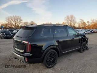 2023 Kia Telluride SX with VIN 5XYP5DGC1PG387296, listed as a Copart auction lot 81587334 with 21,435 mi miles and Salvage title. Bid and sale history available at DreamBid. Image 3.