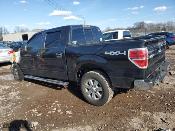 2014 Ford F-150 XL with VIN 1FTFW1ET9EKG40205, listed as a Copart auction lot 50404605 with 0 mi miles and Salvage Title. Bid and sale history available at carsss.com. Image 2.
