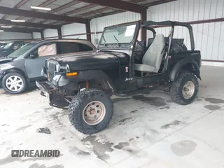 1993 Jeep Wrangler S z VIN 1J4FY19PXPP258501, wystawiony jako IAAI lot #42345068 z przebiegiem 107 331 mil mil oraz . Historia ofert i sprzedaży dostępna na DreamBid. Obrazek 2.