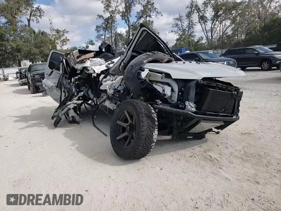 2017 Ford F-150 Raptor with VIN 1FTFW1RG0HFB64324, listed as a Copart auction lot 44772605 with Not Provided miles and Non Repairable. Bid and sale history available at carsss.com. Image 10.