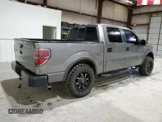 2010 Ford F-150 XL with VIN 1FTFW1EV5AFA74662, listed as a Copart auction lot 48384295 with 234,570 mi miles and Clean Title. Bid and sale history available at carsss.com. Image 3.