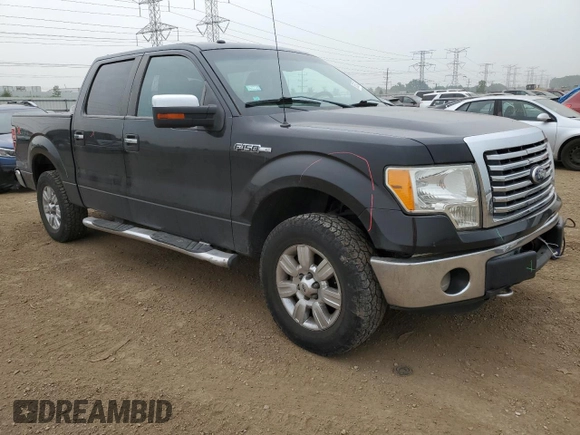 2010 Ford F-150 XL with VIN 1FTEW1E84AFD14774, listed as a Copart auction lot 60530435 with 150,299 mi miles and Salvage title. Bid and sale history available at DreamBid. Image 4.