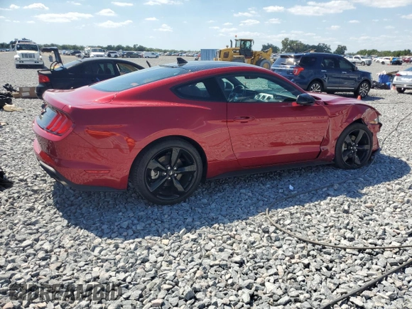 2023 Ford Mustang EcoBoost с VIN 1FA6P8TH7P5111783, выставлен на аукционе Copart как лот 53097805 с пробегом 10 989 миль миль и Списание • Salvage title. История ставок и продаж доступна на DreamBid. Изображение 3.