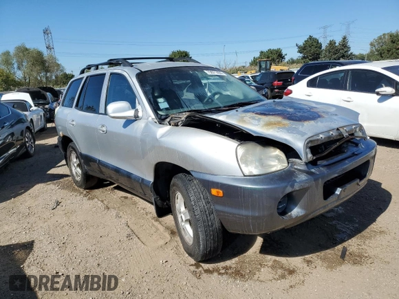 2003 Hyundai Santa Fe with VIN KM8SB12B13U405056, listed as a Copart auction lot 73671484 with 0 mi miles and Salvage Title. Bid and sale history available at carsss.com. Image 4.