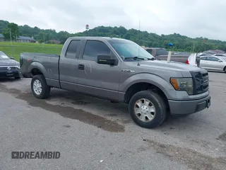 2011 Ford F-150 XL z VIN 1FTEX1CM1BFC49915, wystawiony jako IAAI lot #39541134 z przebiegiem 176 854 mil mil oraz . Historia ofert i sprzedaży dostępna na DreamBid. Obrazek 1.