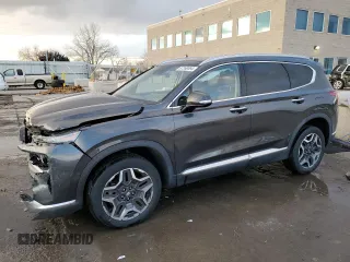 2021 Hyundai Santa Fe Limited with VIN 5NMS4DAL0MH315822, listed as a Copart auction lot 87260094 with 30,253 mi miles and Salvage Title. Bid and sale history available at carsss.com. Image 1.