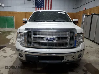 2010 Ford F-150 XL with VIN 1FTFW1EV1AFC96308, listed as a Copart auction lot 61661115 with 226,594 mi miles and Clean title. Bid and sale history available at DreamBid. Image 5.