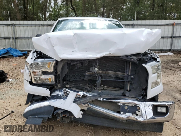 2017 Ford F-150 XL with VIN 1FTEX1CFXHFA67219, listed as a Copart auction lot 48943805 with 146,240 mi miles and Salvage Title. Bid and sale history available at carsss.com. Image 5.