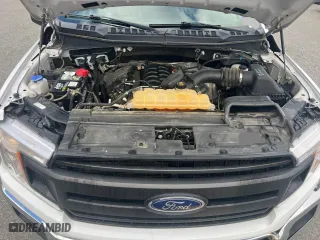 2019 Ford F-150 XL with VIN 1FTEW1E56KFA19067, listed as a Copart auction lot 53714145 with 185,601 mi miles and Clean Title. Bid and sale history available at carsss.com. Image 7.