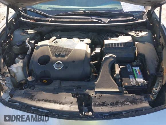 2009 Nissan Maxima S with VIN 1N4AA51E69C808587, listed as a IAAI auction lot 41376757 with 302,539 mi miles and . Bid and sale history available at DreamBid. Image 10.
