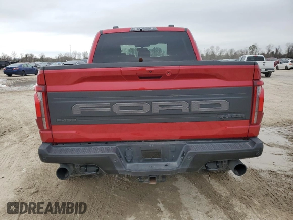 2024 Ford F-150 Raptor with VIN 1FTFW1RG6RFB13248, listed as a Copart auction lot 45015545 with 12,581 mi miles and Salvage Title. Bid and sale history available at DreamBid. Image 6.