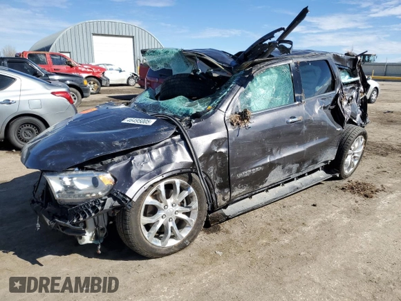 2017 Dodge Durango Citadel with VIN 1C4RDJEG9HC879239, listed as a Copart auction lot 46495005 with Not Provided miles and Salvage Title. Bid and sale history available at carsss.com. Image 1.