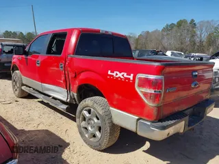 2013 Ford F-150 XL with VIN 1FTFW1EF2DFD62331, listed as a IAAI auction lot 41676224 with 156,450 mi miles. Bid and sale history available at carsss.com. Image 3.
