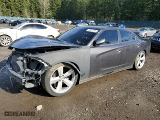 2018 Dodge Charger Daytona with VIN 2C3CDXCTXJH205942, listed as a Copart auction lot 46811795 with 124,691 mi miles and Clean Title. Bid and sale history available at carsss.com. Image 1.