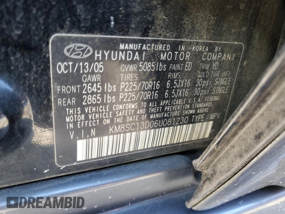 2006 Hyundai Santa Fe GLS with VIN KM8SC13D06U081230, listed as a Copart auction lot 42226215 with 138,328 mi miles and Clean Title. Bid and sale history available at carsss.com. Image 13.