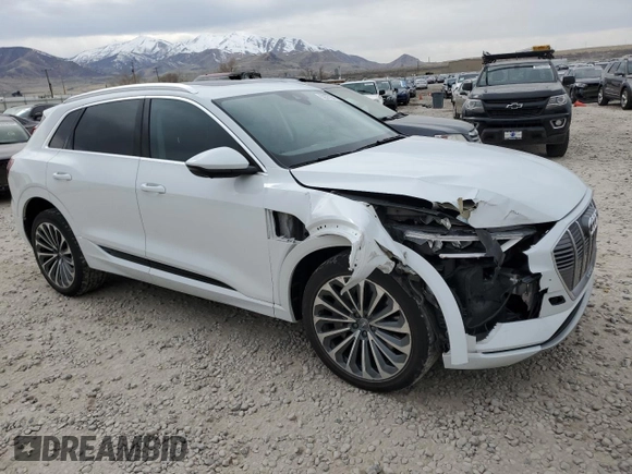 2019 Audi e-tron Prestige with VIN WA1VABGE9KB021981, listed as a Copart auction lot 50371845 with 46,624 mi miles and Salvage Title. Bid and sale history available at carsss.com. Image 4.