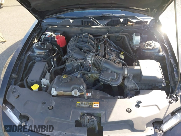 2011 Ford Mustang V6 with VIN 1ZVBP8AM4B5116826, listed as a IAAI auction lot 41436357 with 121,700 mi miles and . Bid and sale history available at carsss.com. Image 10.