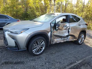 2023 Lexus NX with VIN 2T2GKCEZXPC012007, listed as a Copart auction lot 73273994 with 20,893 mi miles and Salvage Title. Bid and sale history available at carsss.com. Image 1.