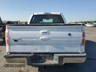 2009 Ford F-150 XL with VIN 1FTRW12W19KC95673, listed as a Copart auction lot 65025015 with 113,221 mi miles and Non repairable. Bid and sale history available at DreamBid. Image 6.