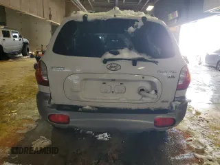2004 Hyundai Santa Fe GLS with VIN KM8SC73E54U767532, listed as a Copart auction lot 41648395 with 125,439 mi miles and Salvage Title. Bid and sale history available at carsss.com. Image 6.