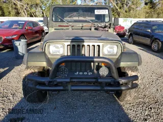 1995 Jeep Wrangler S with VIN 1J4FY19P1SP256905, listed as a Copart auction lot 46057415 with 138,212 mi miles and Salvage Title. Bid and sale history available at carsss.com. Image 5.