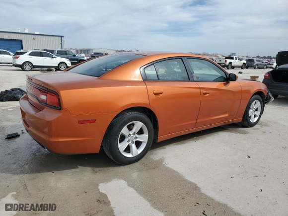 2011 Dodge Charger SE with VIN 2B3CL3CG2BH578003, listed as a Copart auction lot 48582455 with 117,835 mi miles and Salvage Title. Bid and sale history available at carsss.com. Image 3.