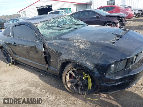2006 Ford Mustang GT Deluxe with VIN 1ZVFT82H665172030, listed as a IAAI auction lot 41647093 with Not Provided miles and . Bid and sale history available at carsss.com. Image 6.