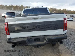 2024 Ford F-150 Raptor with VIN 1FTFW1RJ2RFA41606, listed as a Copart auction lot 75980754 with 3,905 mi miles and Salvage Title. Bid and sale history available at DreamBid. Image 6.