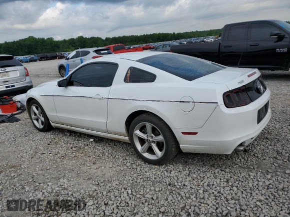 2014 Ford Mustang V6 with VIN 1ZVBP8AMXE5315092, listed as a Copart auction lot 58765755 with 177,060 mi miles and Salvage title. Bid and sale history available at DreamBid. Image 2.