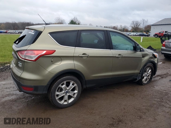 2013 Ford Escape SEL with VIN 1FMCU0HX1DUD51254, listed as a Copart auction lot 81525254 with 80,611 mi miles and Salvage Title. Bid and sale history available at carsss.com. Image 3.